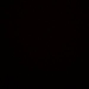 Meet your Posher, Tia